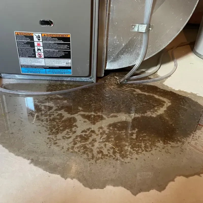 Appliance Leak Cleanup in Roanoke, IN